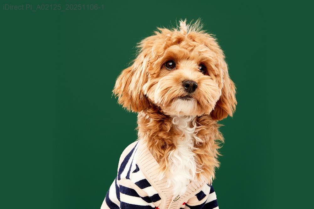 「寵愛毛孩必看！台灣日常照護產品價格大比拼，哪些最實惠？」